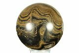 Polished Stromatolite (Greysonia) Sphere - Bolivia #264434-1